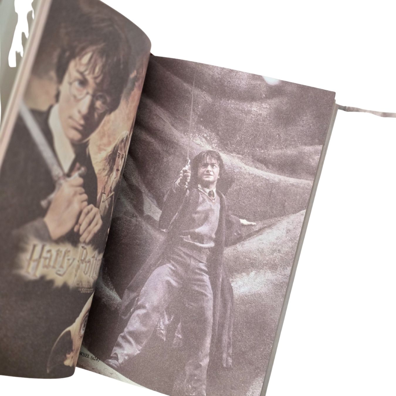 Hogwarts Tri-Fold Hard-Cover Illustrated Diary (17*11 cm) (select variant)