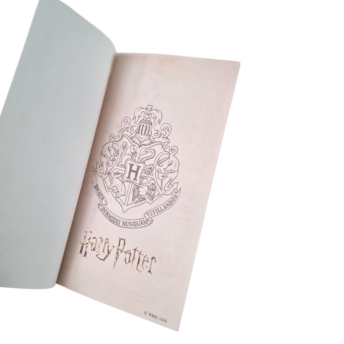 Hogwarts Tri-Fold Hard-Cover Illustrated Diary (17*11 cm) (select variant)